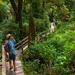 Rain Forest Walk, Tofino by cdcook48
