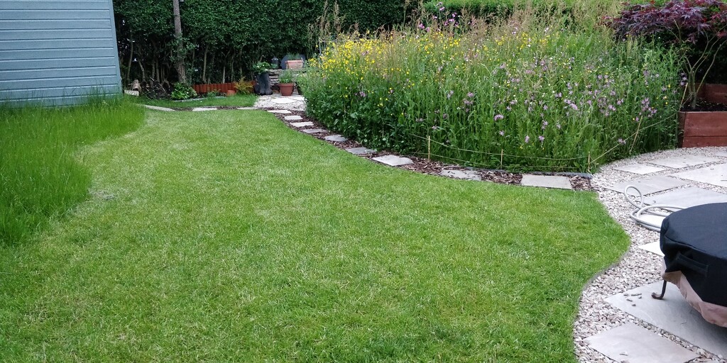 The garden in June by roachling