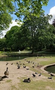 11th Jun 2021 - Pavilion Gardens, Buxton