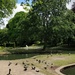 Pavilion Gardens, Buxton by roachling