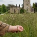 Exploring grasses at Ilam Park by roachling