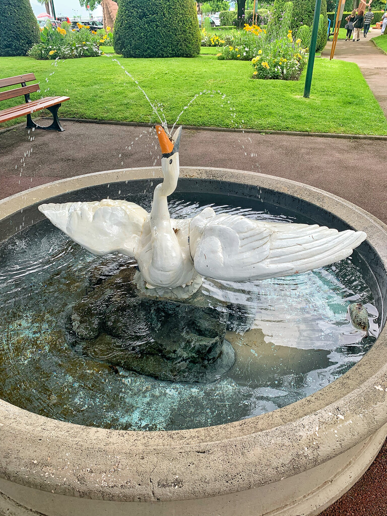 Swan fountain.  by cocobella
