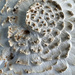 Mushroom Detail by falcon11
