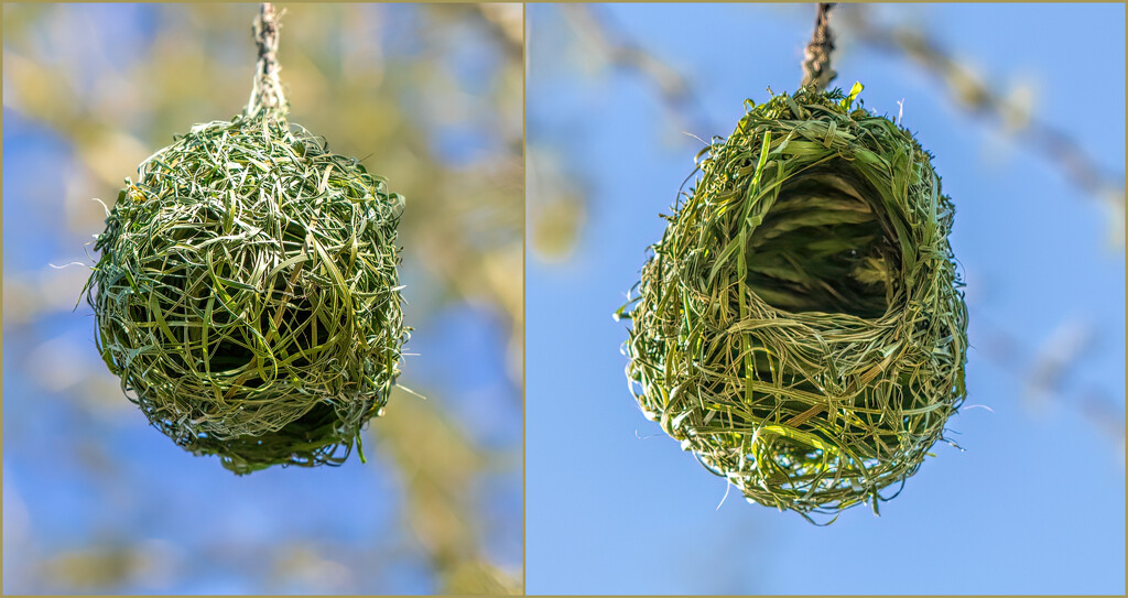 The almost finished nest by ludwigsdiana