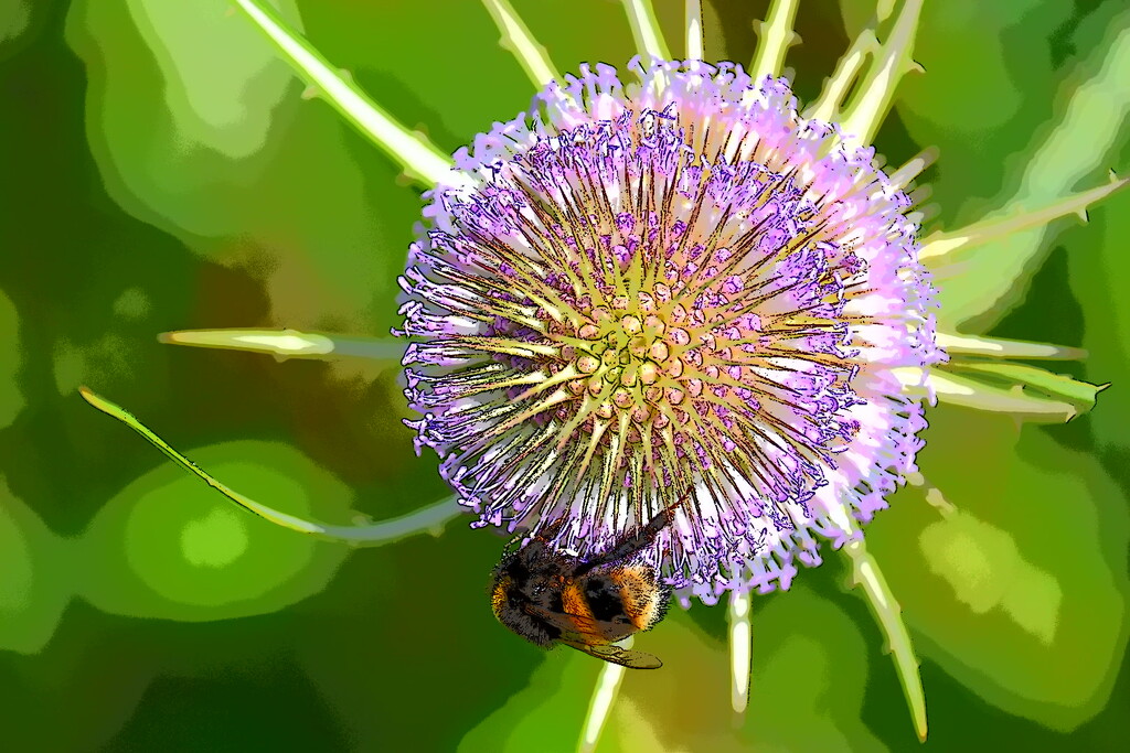 Bee Effect by wakelys