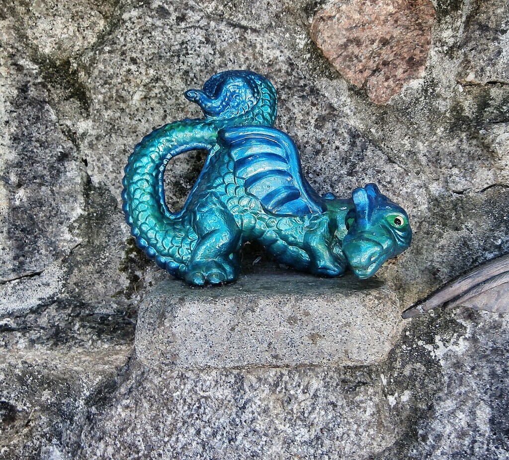 Garden Dragon...... by cutekitty