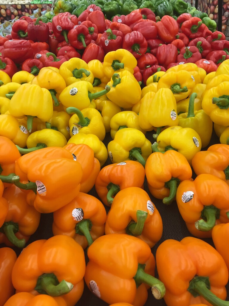 Bell peppers at the supermarket  by kchuk