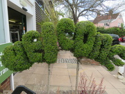 17th May 2021 - Topiary outside the garden centre