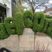 Topiary outside the garden centre by lellie