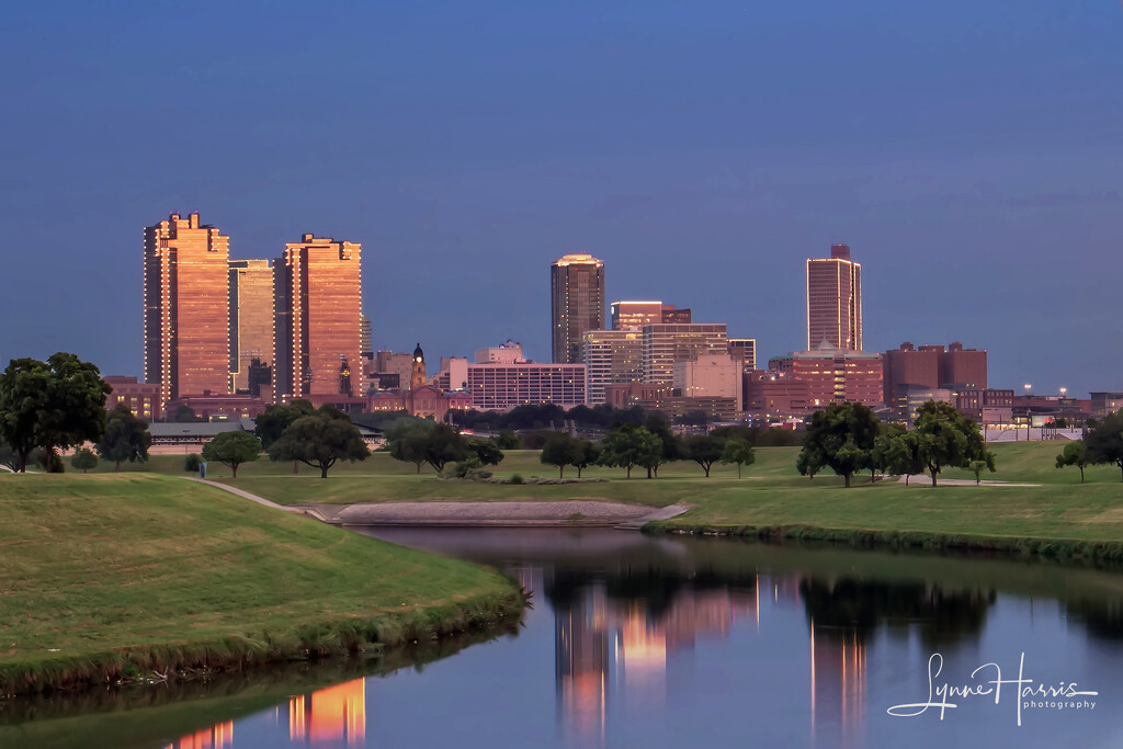 Fort Worth Skyline by lynne5477