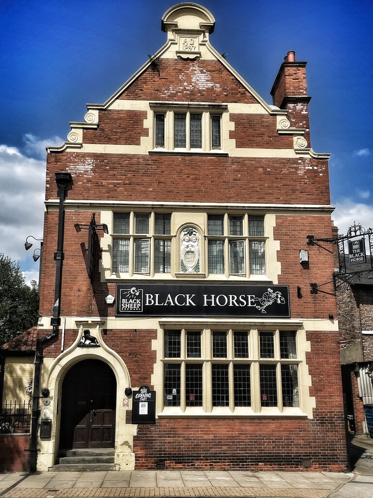 The Black Horse by denful