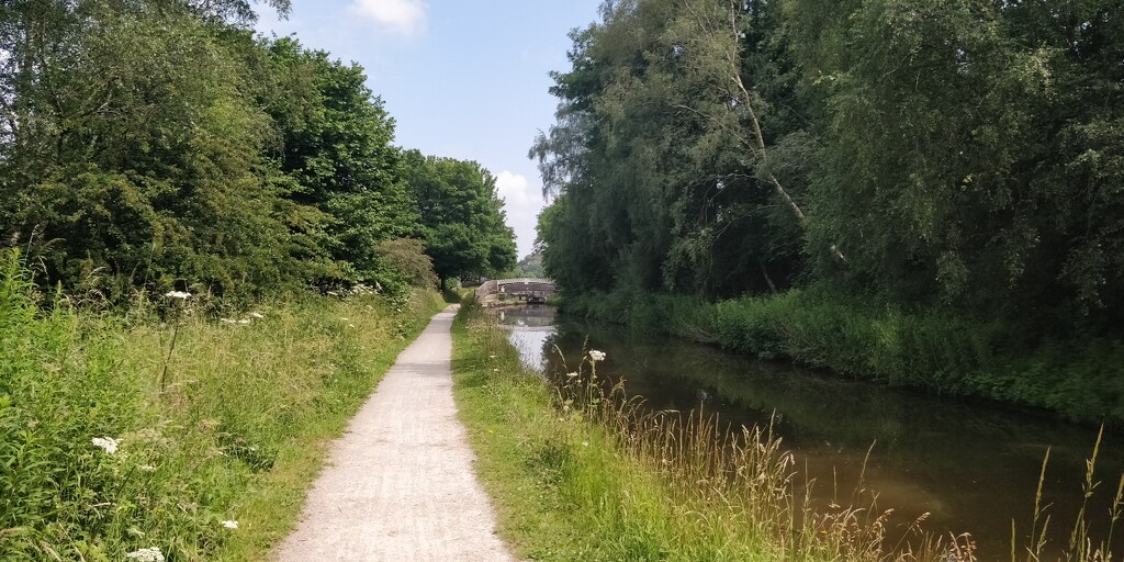 Another walk along the canal by roachling