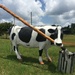Art Cow by margonaut