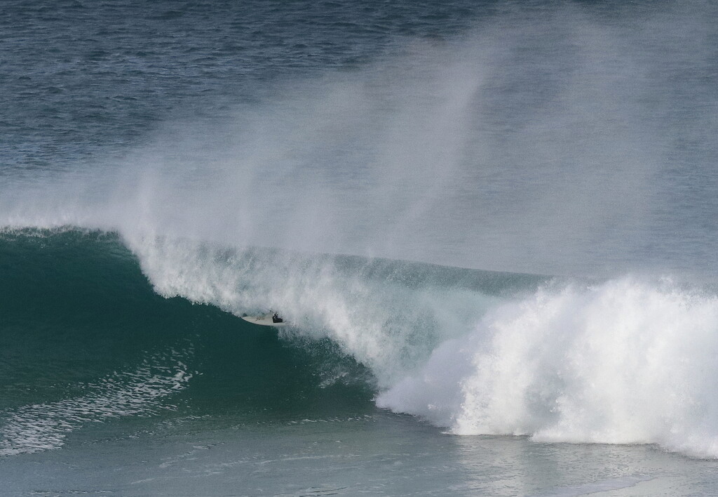 Coming out of the barrel  by gilbertwood