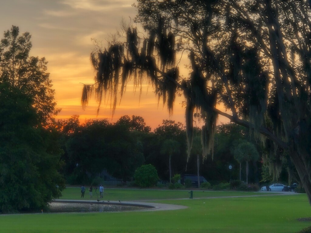 Hampton Park at sunset by congaree