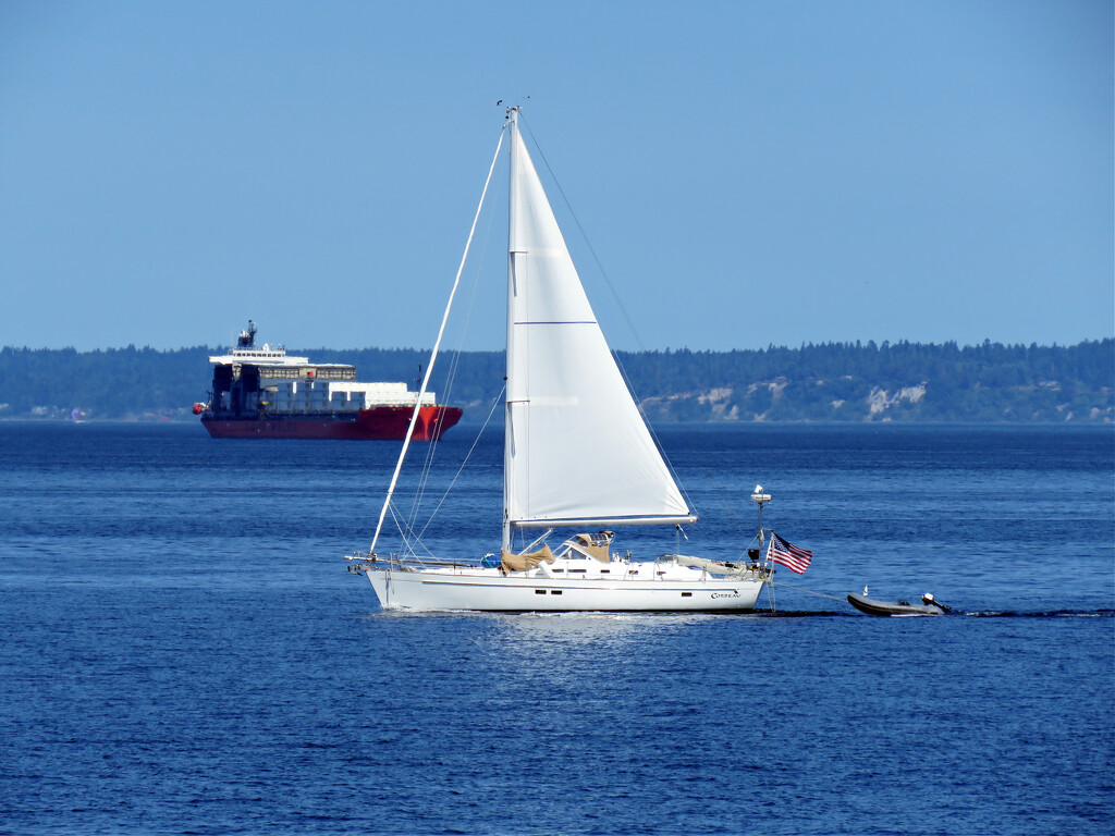 Sailing by seattlite