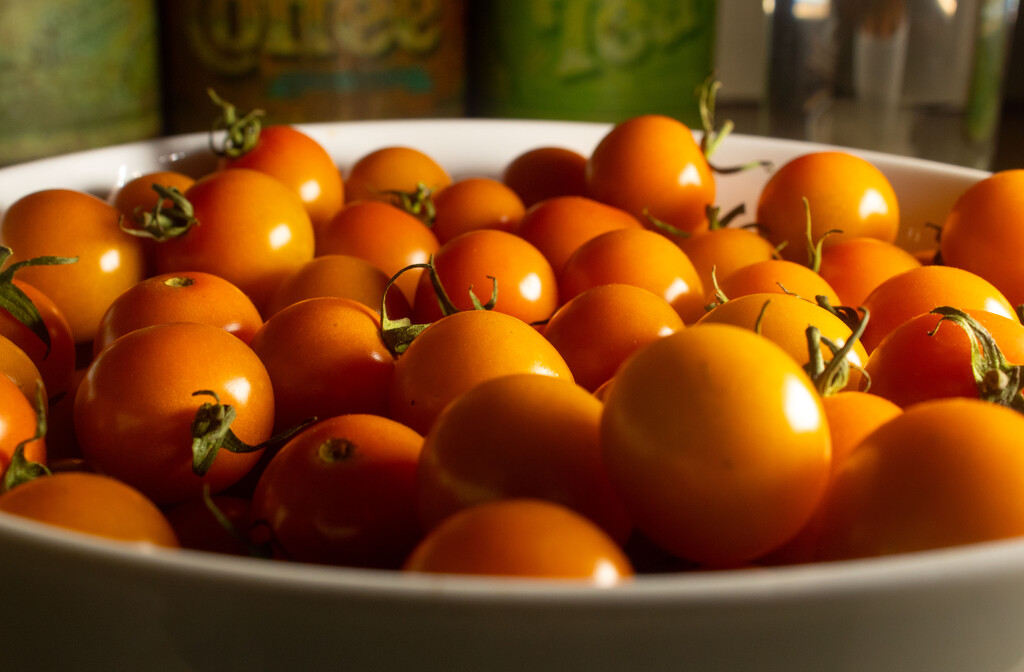 Sun Gold Tomatoes by tdaug80