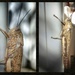 A Locust  by salza