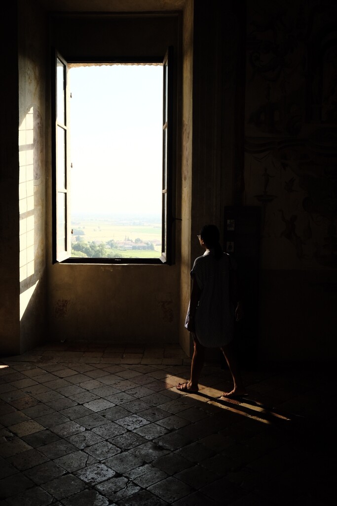 Window on the country  by stefanotrezzi