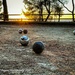 Sunset boules by nigelrogers