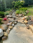 30th Jul 2021 - A partial view of a friend's landscaping.
