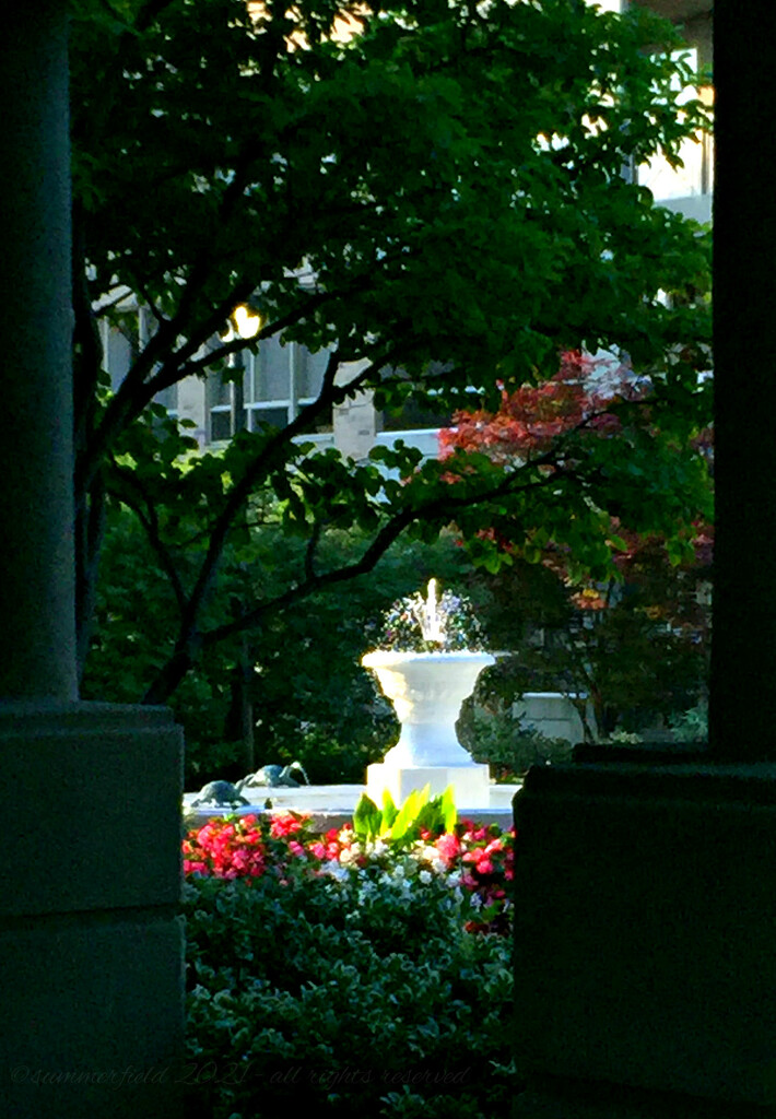 morning sun on the fountain by summerfield