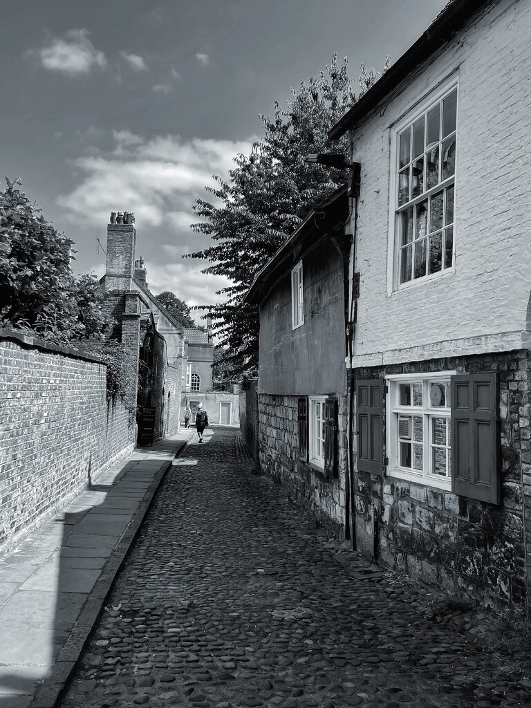 Cobbled street  by denful