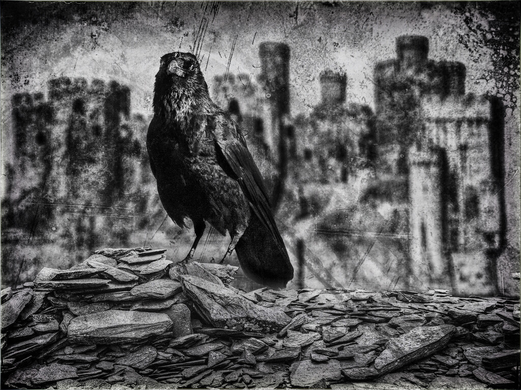 The three eyed crow. by gamelee