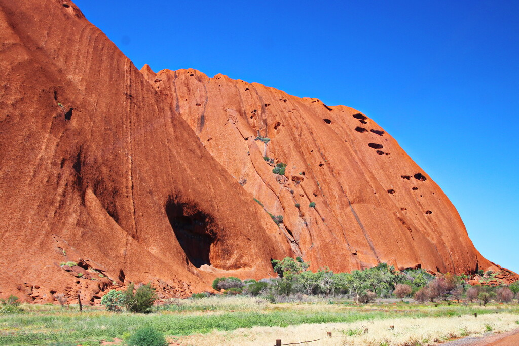 Uluru from the Road by terryliv