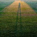 Long shadows and high hopes by 365nick