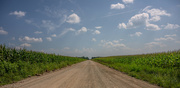 31st Jul 2021 - Dirt roads and corn fields