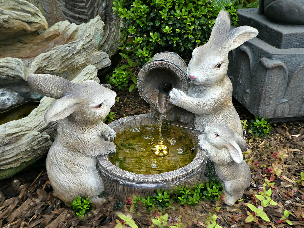 Rabbit family  by wendyfrost