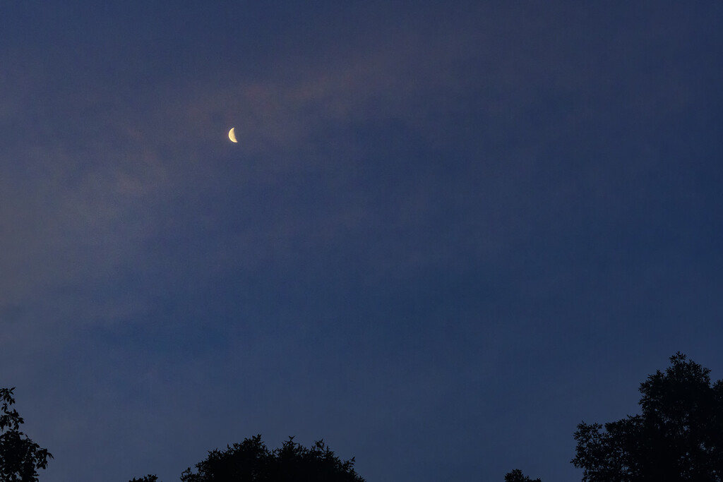 Waning Crescent by k9photo