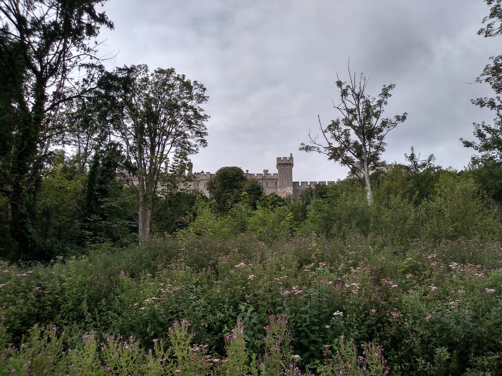 Arundel Castle by moirab