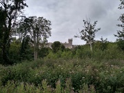 1st Aug 2021 - Arundel Castle