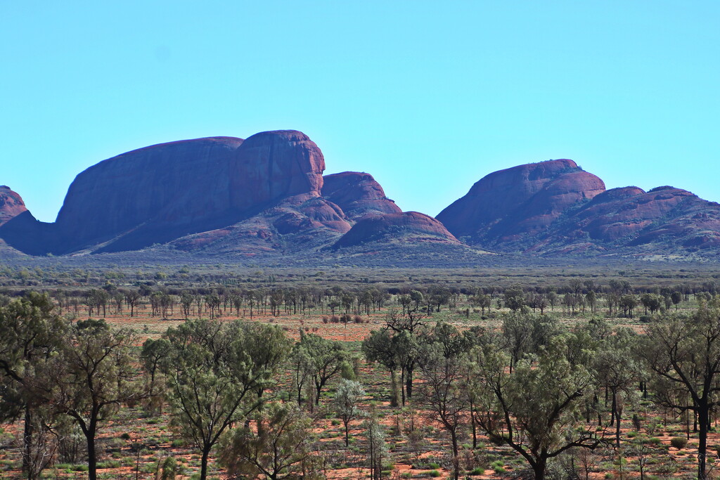 Kata Tjuta - Some of the Heads by terryliv