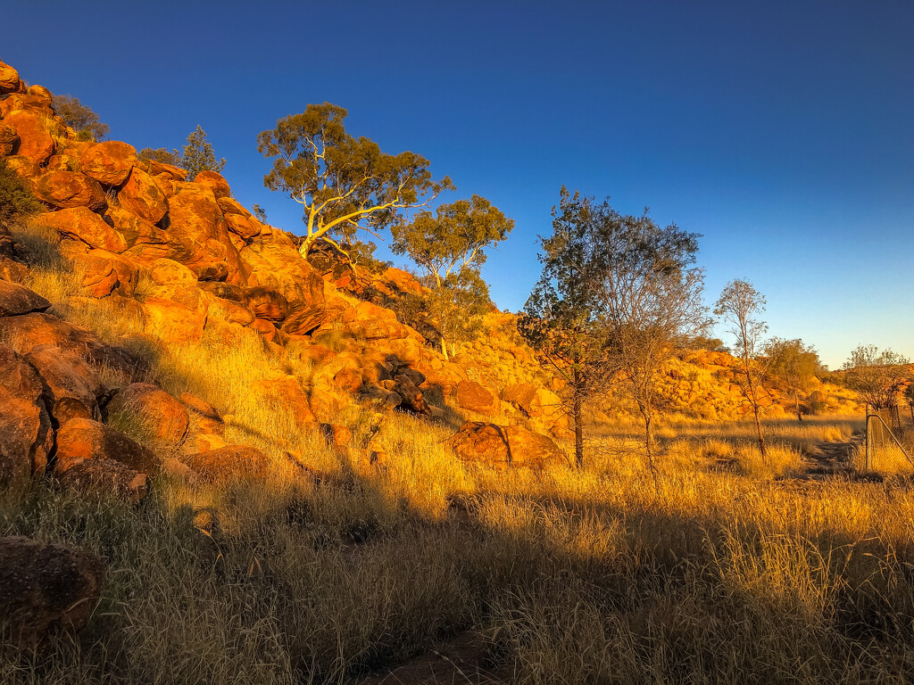 Alice Springs by pusspup