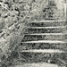 Stone Steps by clay88