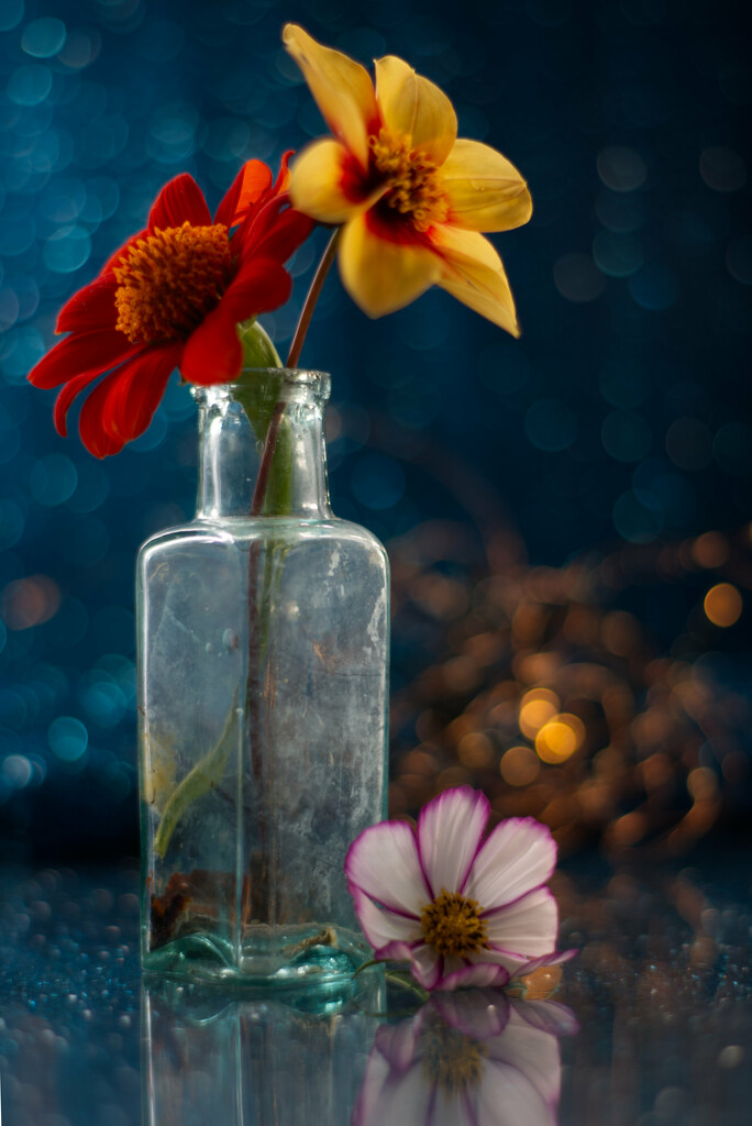 Bokeh, Bottle and Blooms by 30pics4jackiesdiamond