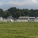 Horse Farm by timerskine