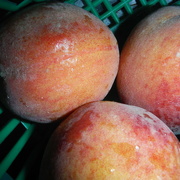 2nd Aug 2021 - Peach Month