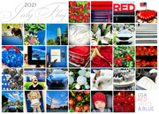 31st Dec 2020 - Red, White & Blue | July 2021