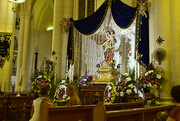 3rd Aug 2021 - OUR LADY OF CARMEL