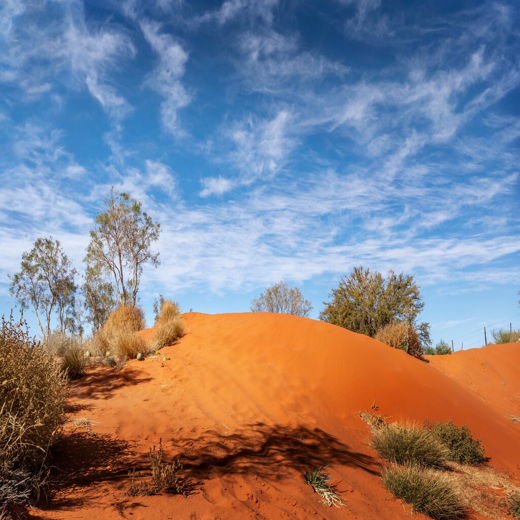 Red dunes of the Finke Race by pusspup