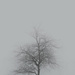 Low Key Tree by suez1e