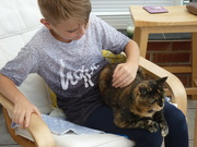 1st Aug 2021 - The boy and the cat