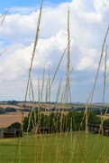 3rd Aug 2021 - The rolling hills of Cambridgeshire!!