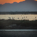 Sunset Over the Salt Lakes at Alicante by mumswaby