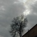 the sky, the tree, the metro station by parisouailleurs