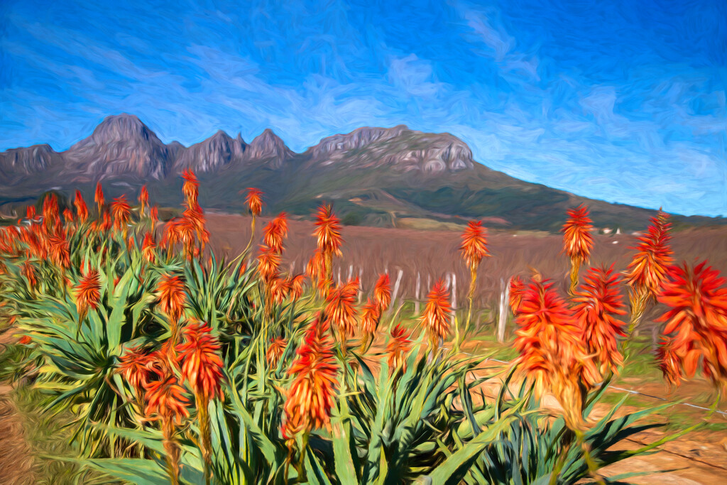 Aloes in oil by Jim Sala by ludwigsdiana